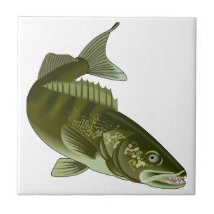 Walleye Ceramic Tile