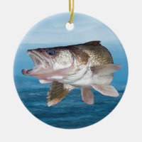 Walleye Fishing