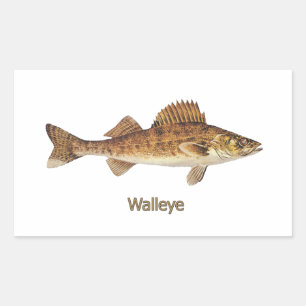 Walleye (Great Lakes) Rectangular Sticker