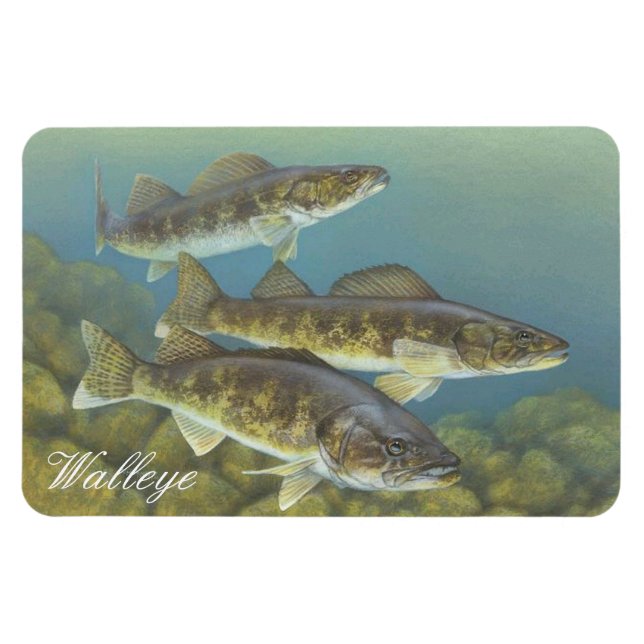 Walleye Painting Magnet (Horizontal)