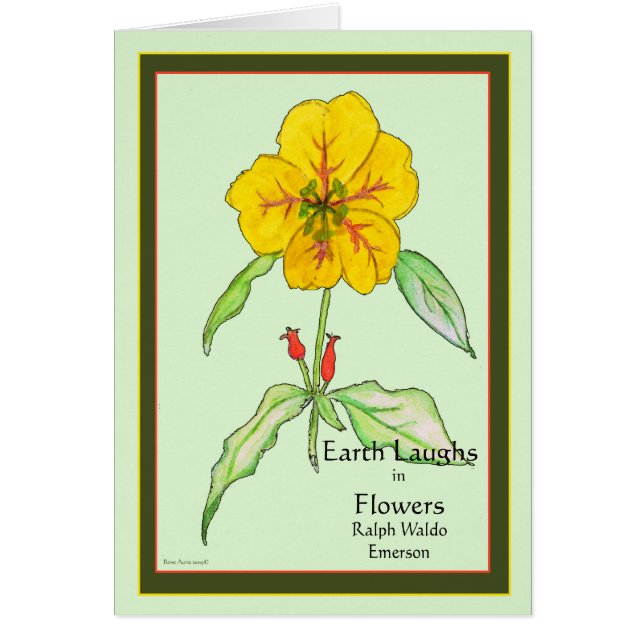 Wallflower (Front)