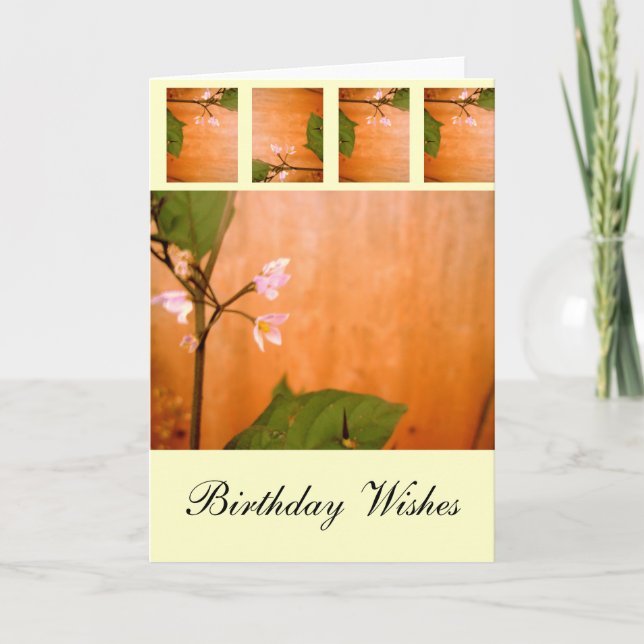 Wallflower Card (Front)