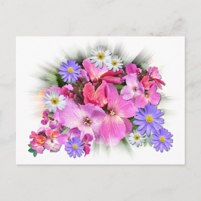 WALLFLOWERS  & ANEMONES ~ Postcard (Front)