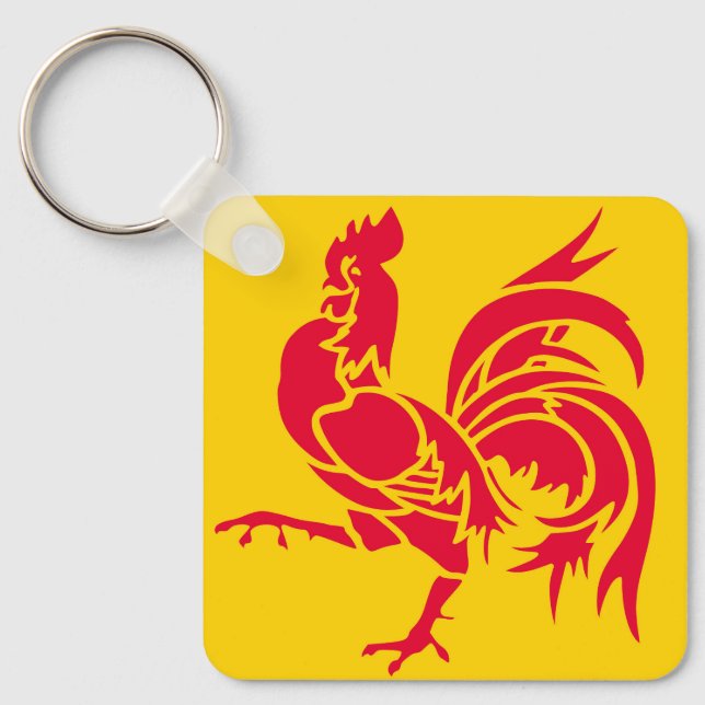 Wallonia flag Belgium region french province symbo Key Ring (Front)