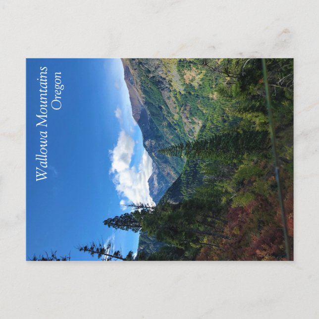 Wallowa Mountains, OR Postcard (Front)