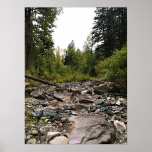 Wallowa River, OR Poster