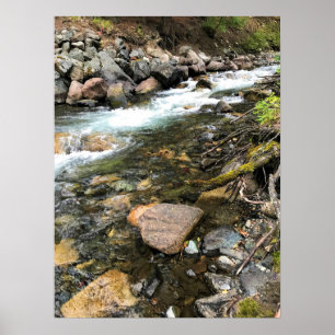 Wallowa River, OR Poster