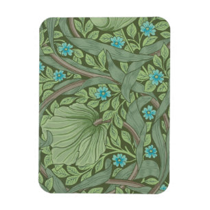Wallpaper Pattern Sample with Forget-Me-Nots Magnet