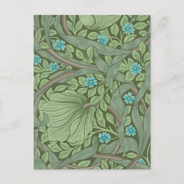 Wallpaper Pattern Sample with Forget-Me-Nots Postcard (Front)