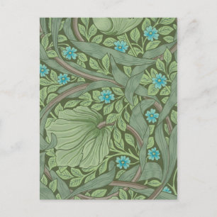 Wallpaper Pattern Sample with Forget-Me-Nots Postcard