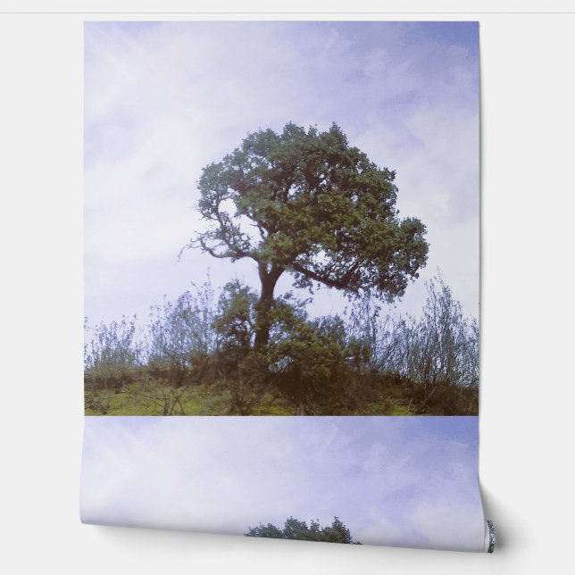 Wallpaper style design (Unrolling)