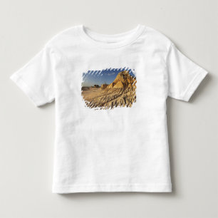Walls of China Formations, Mungo National Toddler T-Shirt