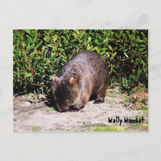 Wally Wombat Postcard