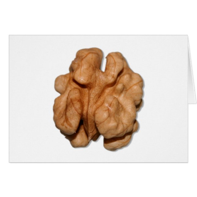 Walnut (Front Horizontal)