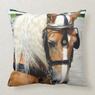 walnut hill carriage driving horse show cushion