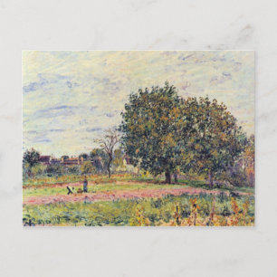 Walnut trees in the sun, in early October - Sisley Postcard