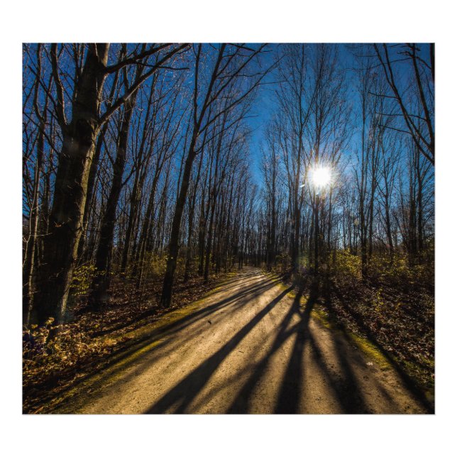Walnut Woods Metro Park, Groveport, Ohio Photo Print (Front)