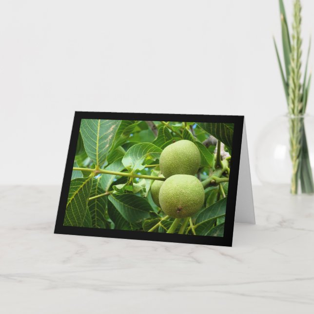 Walnuts in Green Foliage Card (Front)
