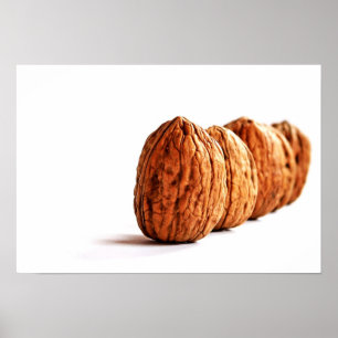 Walnuts on White Food Poster