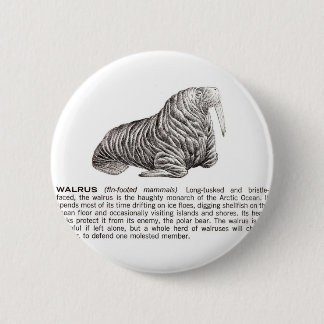 walrus 6 cm round badge