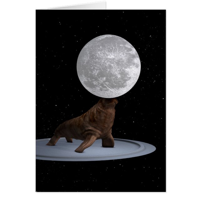 Walrus Balancing The Moon (Front)