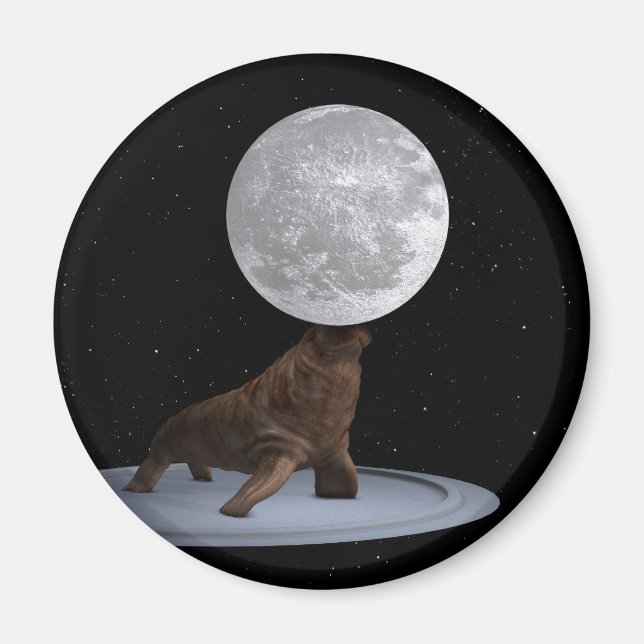 Walrus Balancing The Moon Magnet (Front)