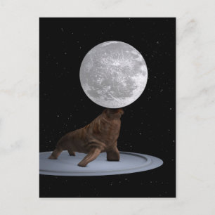 Walrus Balancing The Moon Postcard