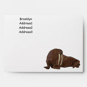 Walrus cartoon illustration envelope