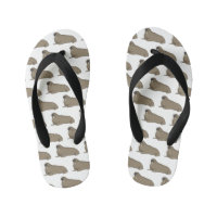 Walrus cartoon illustration