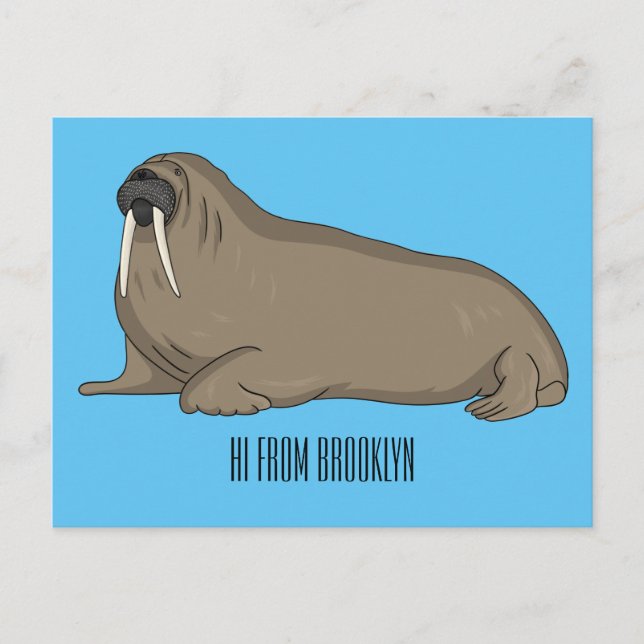 Walrus cartoon illustration postcard (Front)