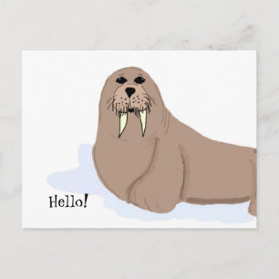 Walrus Cartoon Postcard