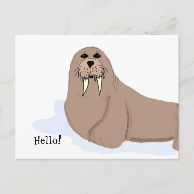 Walrus Cartoon Postcard (Front)