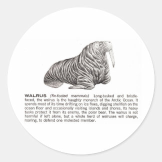 walrus classic round sticker
