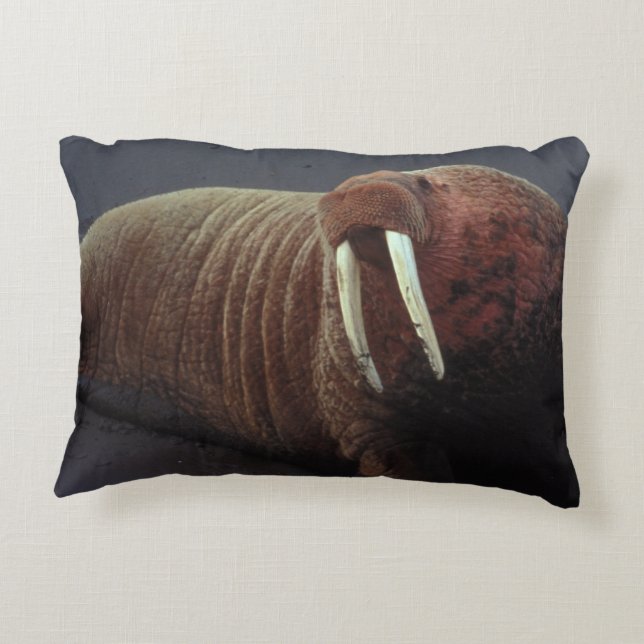 Walrus Decorative Cushion (Back)