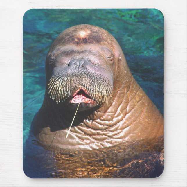 Walrus Eyes Closed Mousepad (Front)