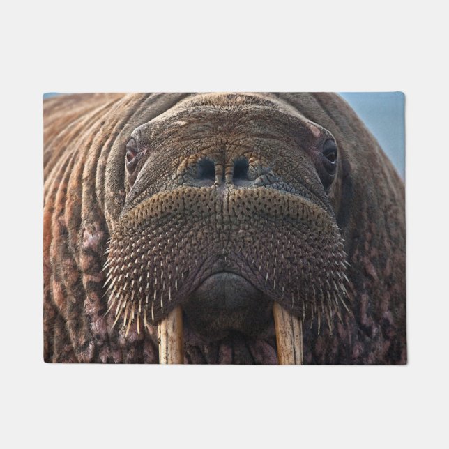 Walrus Face Doormat (Front)
