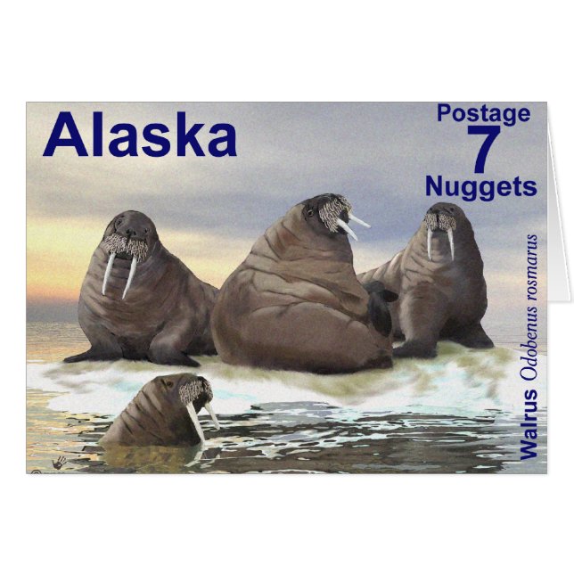 Walrus - Four Brothers (Front Horizontal)