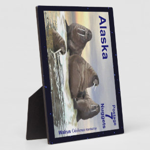 Walrus - Four Brothers Plaque