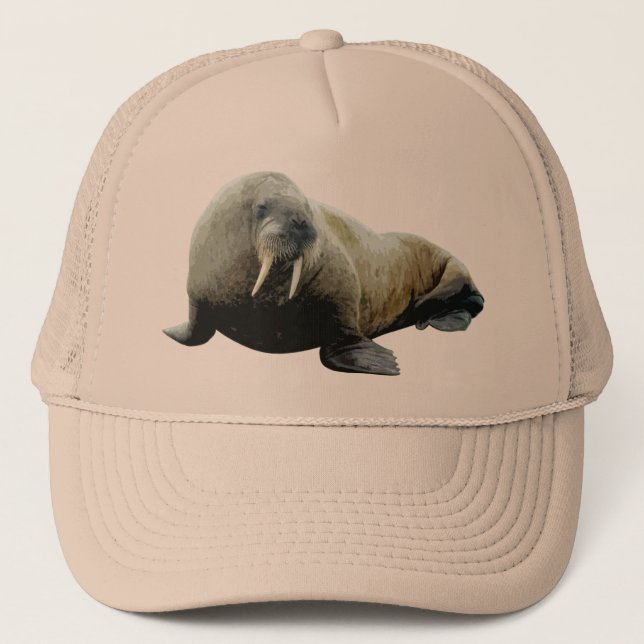 Walrus Hat (Front)