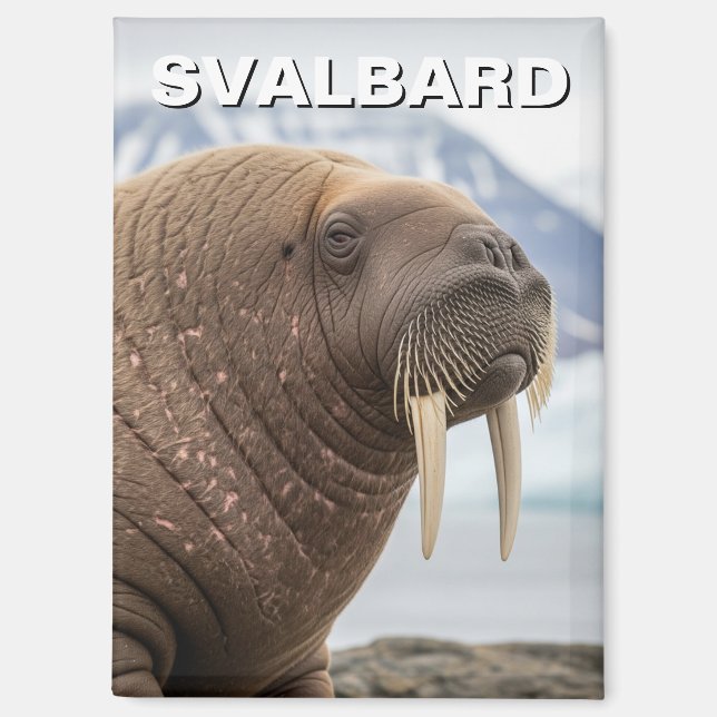 Walrus in Svalbard Norway Magnet (Front)