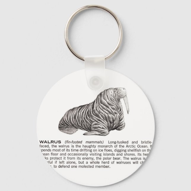 walrus key ring (Front)