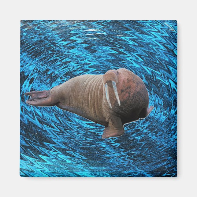 Walrus magnet (Front)