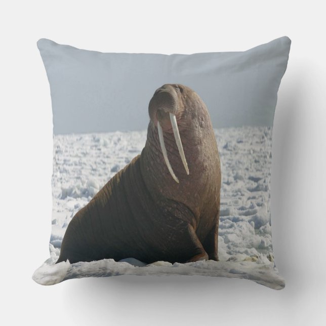 Walrus On Ice Cushion (Front)
