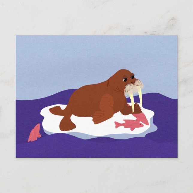 Walrus on Iceberg with Fish Postcard (Front)