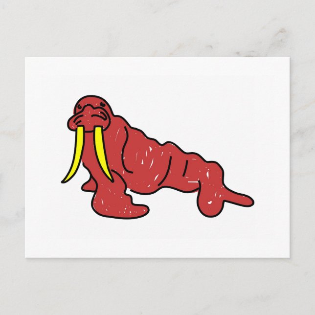 walrus postcard (Front)