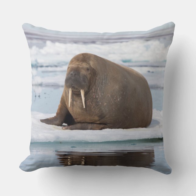 Walrus resting on ice, Norway Cushion (Front)