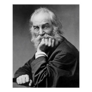 Walt Whitman Essential Portrait, Age 50 Poster