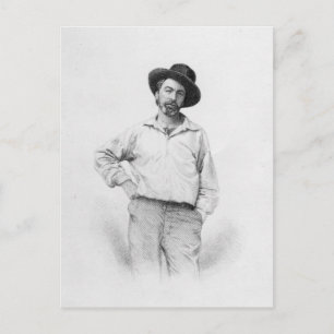 Walt Whitman, frontispiece to 'Leaves of Postcard