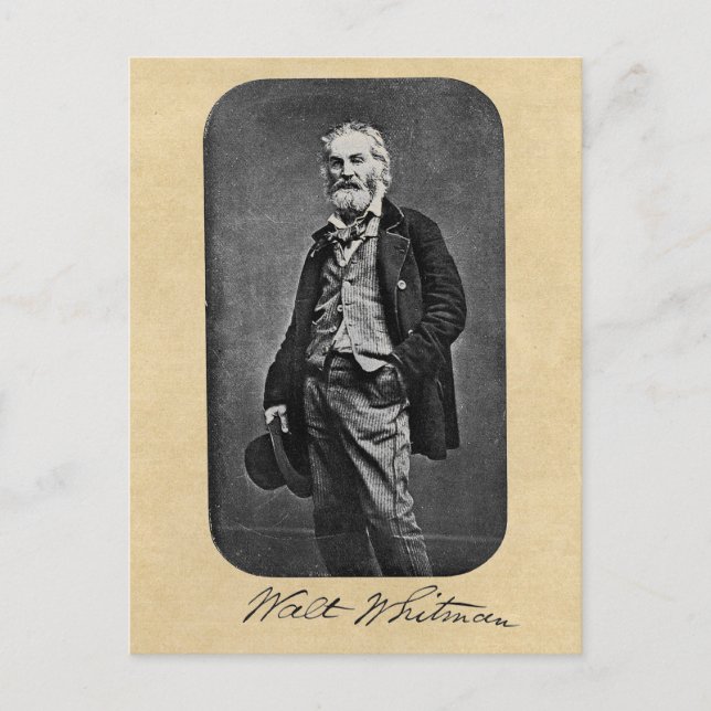 Walt Whitman Leaves of Grass Frontispiece Postcard (Front)