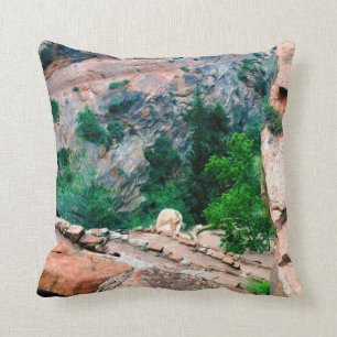 Walters Wiggles Zion National Park Utah Cushion